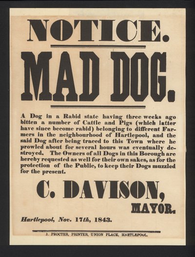 Aviso de Perro Rabioso, Hartlepool, 1843 de English School