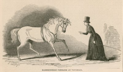 Mademoiselle Caroline en los Jardines de Vauxhall, Londres de English School