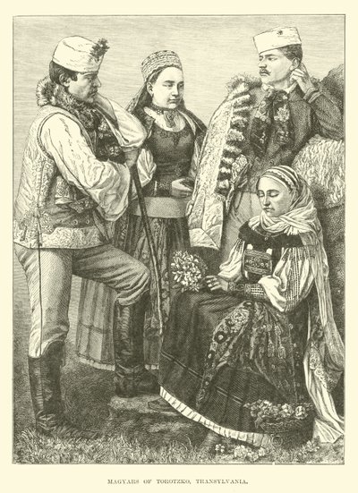 Magiares de Torotzko, Transilvania de English School