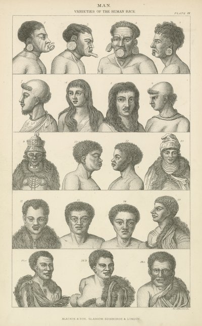 Hombre. Variedades de la raza humana de English School