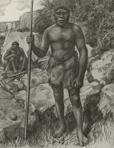 Hombre cuyo cráneo fue descubierto en Rodesia en 1921 de English School