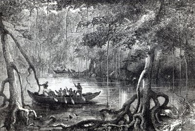 Bosque de manglares, ilustración del frontispicio de 