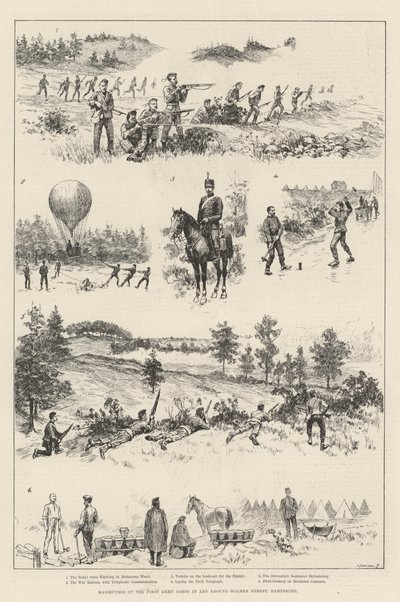 Maniobras del Primer Cuerpo de Ejército en y alrededor del Bosque de Wolmer, Hampshire de English School