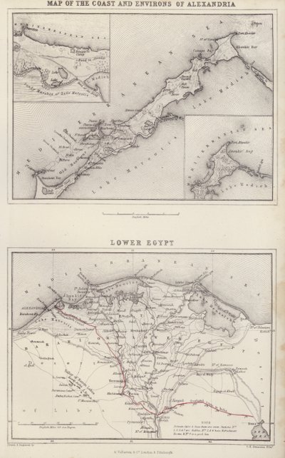 Mapa: Mapa de la costa y alrededores de Alejandría; Bajo Egipto (litografía en color) de English School