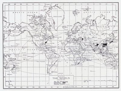 Mapa del mundo mostrando los países productores de té de English School