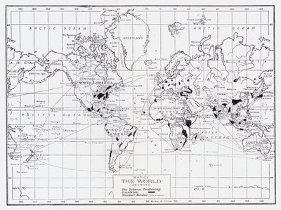 Mapa del mundo mostrando los países productores de tabaco de English School