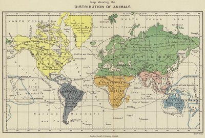 Mapa de distribución de los animales (litografía en color) de English School