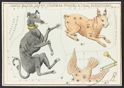 Mapas C.44.A.42 Canis Major Lepus, de 