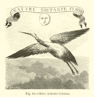 Marc Antonio Colonna de English School
