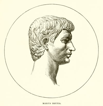 Marco Bruto de English School