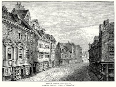 Mardol Street, Shrewsbury (grabado) de English School