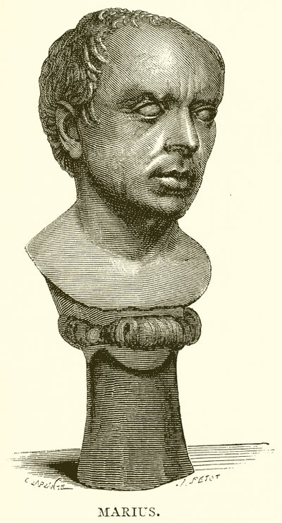 Mario de English School
