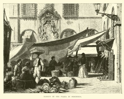 Mercado en la Piazza di Pescheria de English School