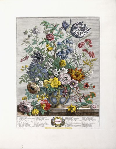 Mayo, 1730 de English School