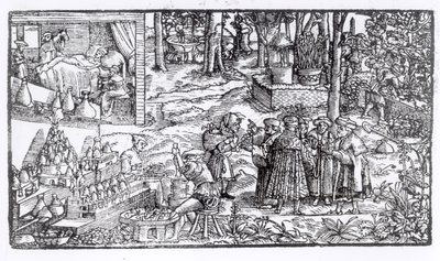 Cultivo de hierbas medicinales, 1531 de English School