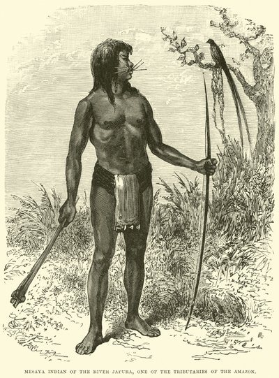 Indio Mesaya del Río Japurá, uno de los afluentes del Amazonas de English School
