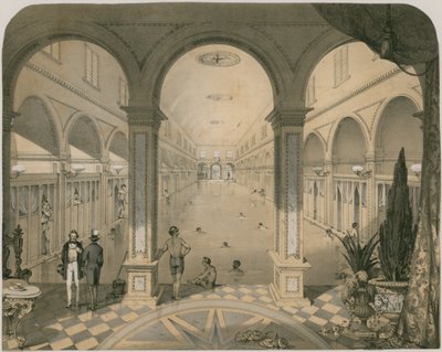 Baños Metropolitanos Templados y Fríos de English School