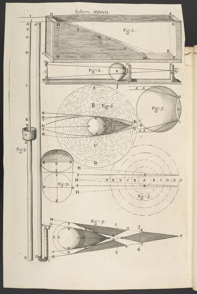 Micrographia, o algunas descripciones fisiológicas de cuerpos diminutos hechas con lupas, con observaciones e investigaciones al respecto