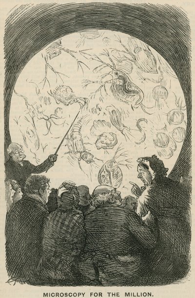 Microscopía para el millón de English School