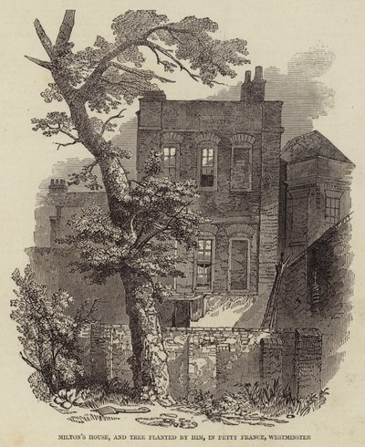 Casa de Milton y árbol plantado por él en Petty France, Westminster (grabado) de English School