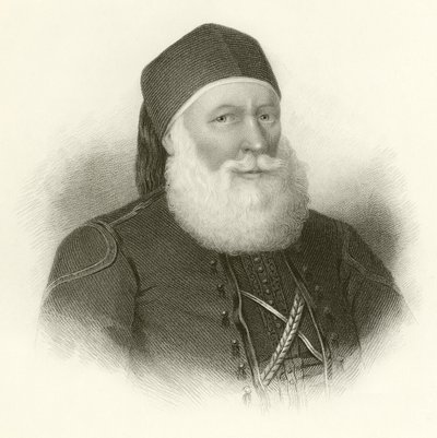 Mohammed Ali de English School