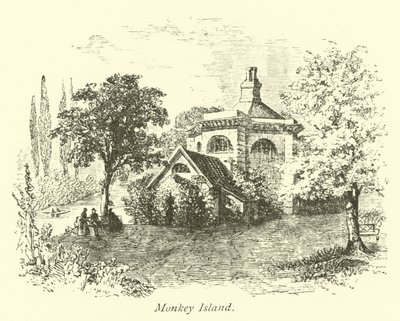 Isla del Mono de English School