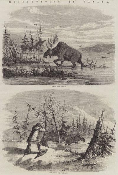 Caza de alces en Canadá (grabado) de English School