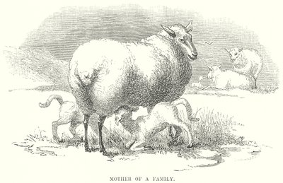 Madre de familia (grabado) de English School