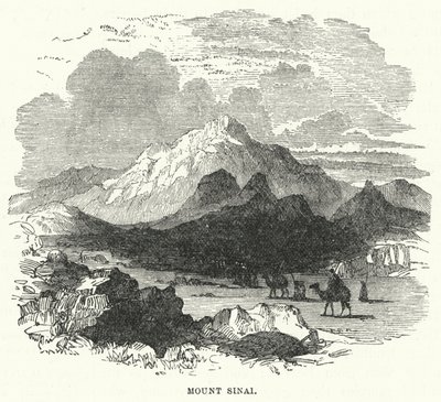 Monte Sinaí de English School