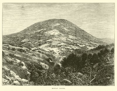 Monte Tabor de English School
