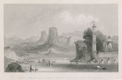 Monte Vesubio y la Bahía de Nápoles de English School