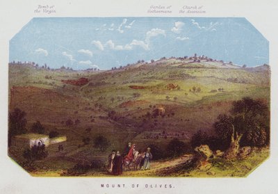 Monte de los Olivos de English School