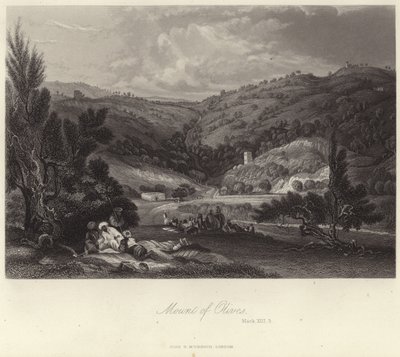Monte de los Olivos de English School