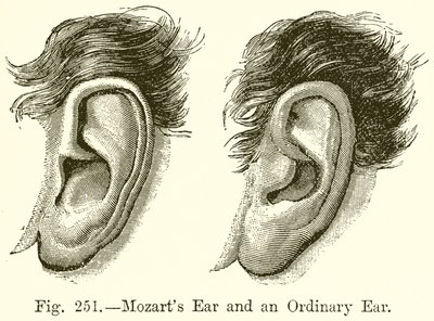 La oreja de Mozart y una oreja ordinaria de English School