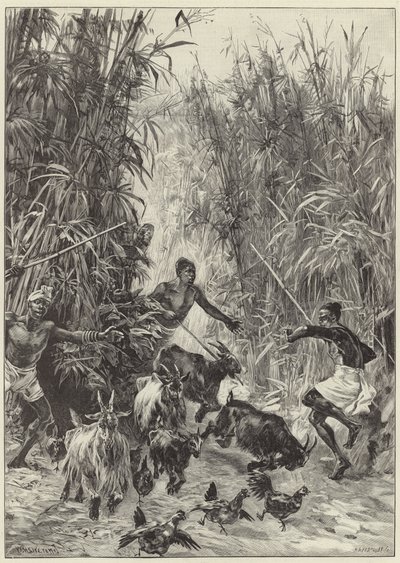 La expedición de rescate de Emin Pasha por el Sr. H. M. Stanley de English School