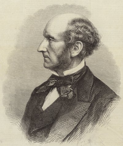 Sr. John Stuart Mill de English School
