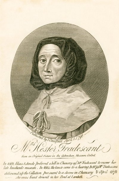 Mrs Hester Tradescant de English School