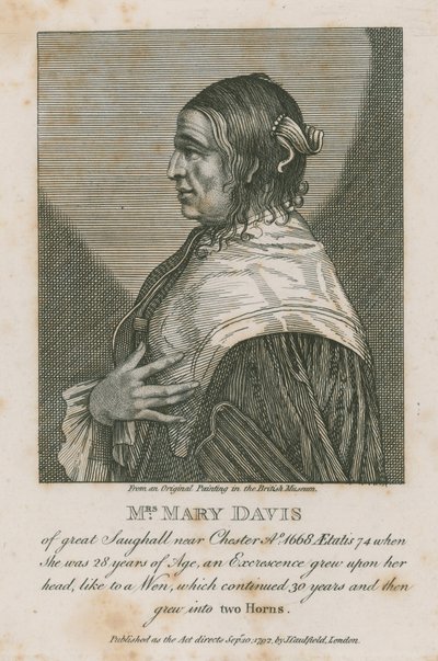 Sra. Mary Davis de Great Saughall cerca de Chester, 1668 de English School