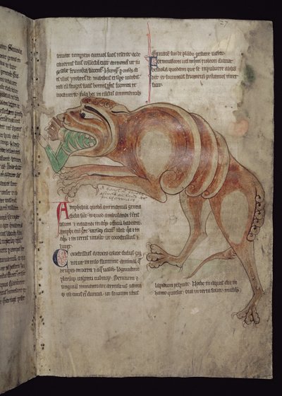 Ms.254 f.24 r Cocodrilo Tragándose a un Hombre de English School