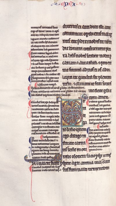 Ms.27, f.132v: Página de una copia glosada del Nuevo Testamento de English School
