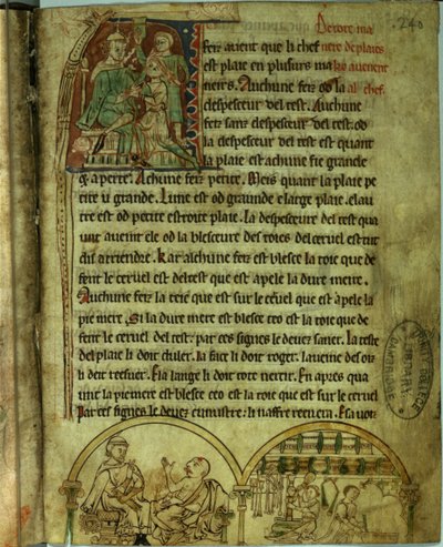 Ms.O.1.20.f.241v Jerónimo: Un médico visitando a un paciente y un boticario, de 