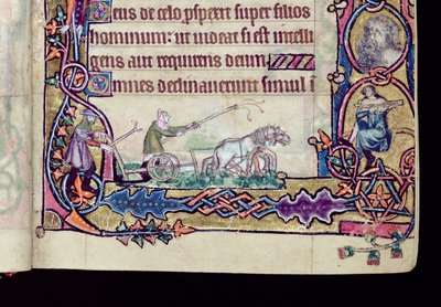 Ms 1-2005, ff.76v-77r: David y el tonto, inicial historiada del Salterio de Macclesfield, Uso de Sarum, East Anglia, c.1330 (detalle) de English School