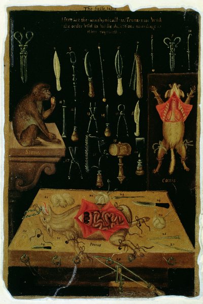 Ms Hunter 364 Tabla I Instrumentos de disección, de Tablas anatómicas, de John Banister (1540-1610) (óleo sobre papel de estraza) de English School