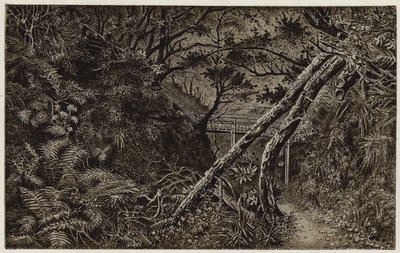 Mulgrave Woods, cerca de Whitby (litografía) de English School