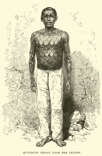 Indio Mundrucu del Amazonas de English School