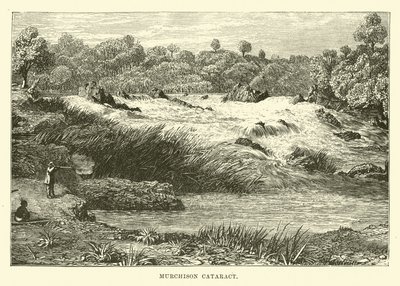Catarata Murchison de English School