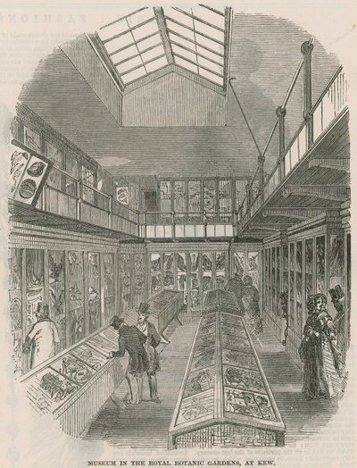 Museo en los Jardines Botánicos Reales, en Kew de English School