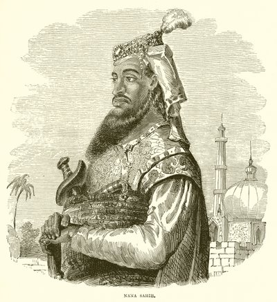 Nana Sahib de English School