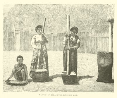 Nativos de Madagascar moliendo arroz de English School
