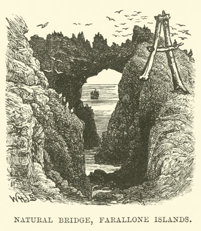 Puente Natural, Islas Farallón de English School